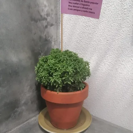 ホームステイ Ritual Do Mar - Com Wc - Baleal & Peniche