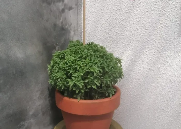 Ubytování v soukromí Ritual Do Mar - Com Wc - Baleal & Peniche